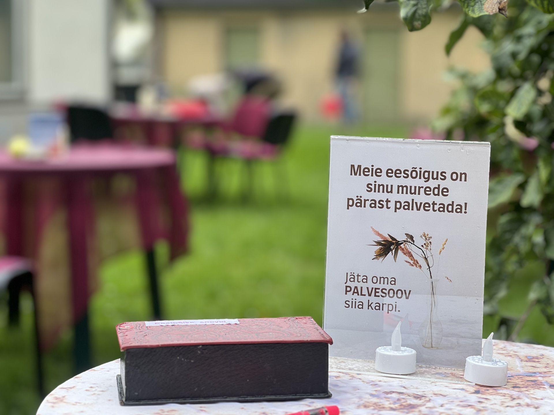 Kuressaare õunakohvik võlus külastajaid heade maitsete ja õdusa miljööga